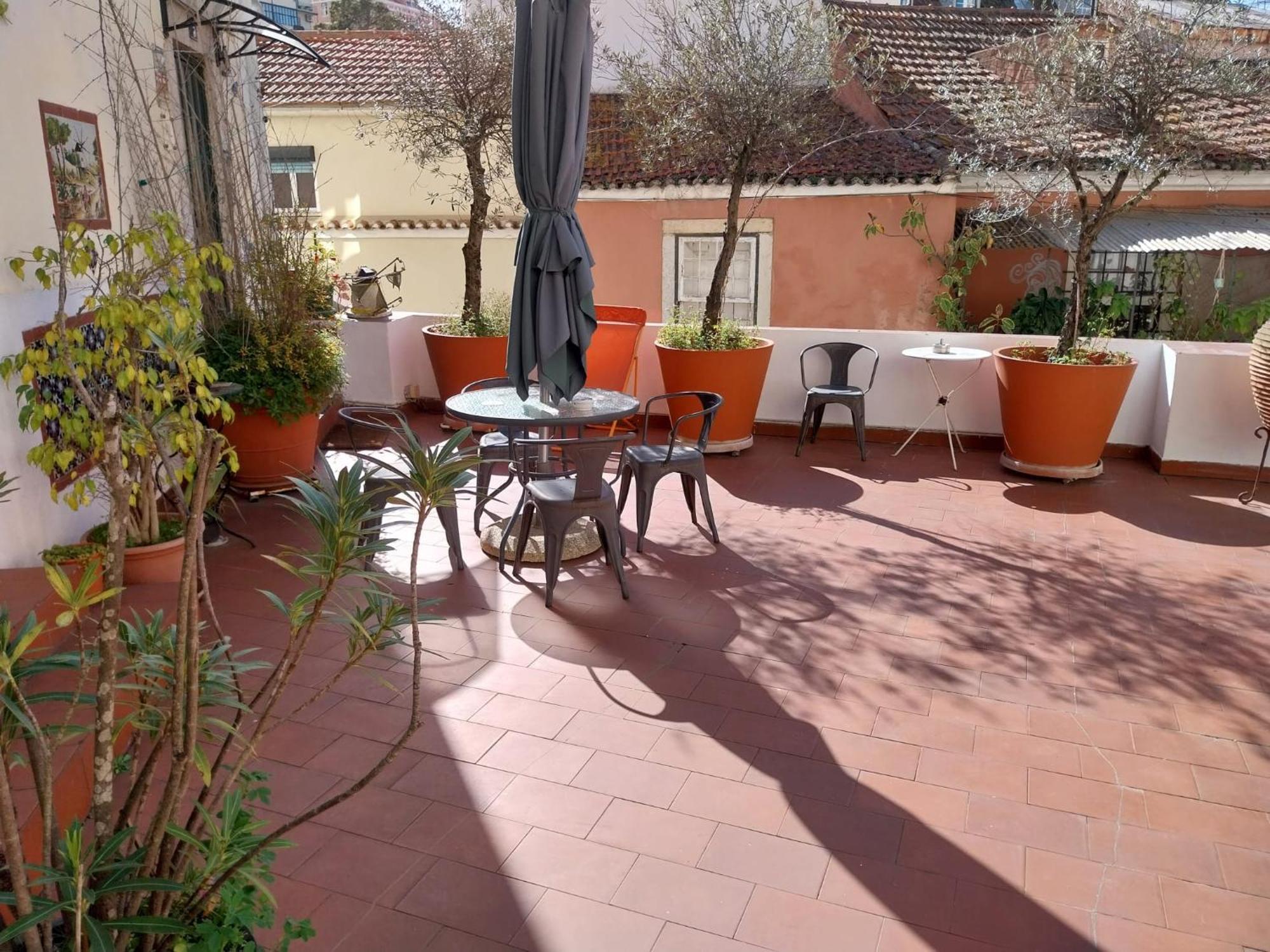 리스본 Costa Do Castelo Terrace, Em Rua Dos Lagares 8 아파트 외부 사진